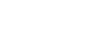 BrainChip