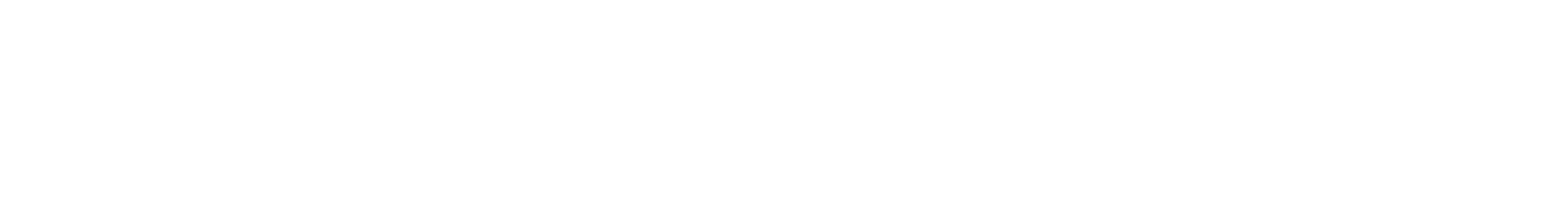 Dataprise