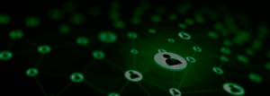 Defending the Public Sector and Education Against Ransomware: Special Considerations