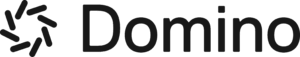 Domino Data Lab