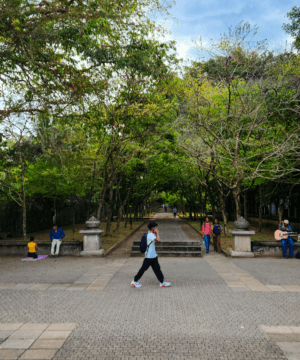 Park Smarter, Not Harder: The Preventative Path to NRPA Accreditation