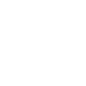 S. P. McCarl & Company