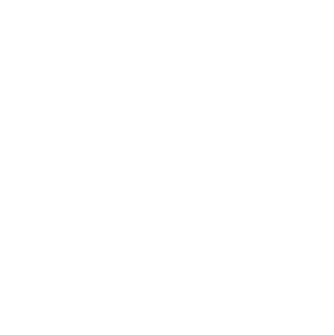 The FP&A Guy