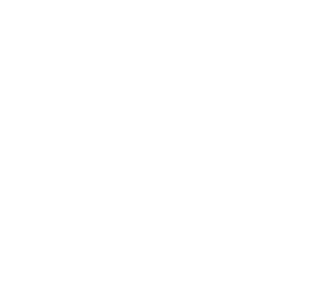 Vivacity