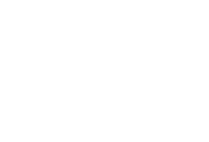 Net Insight