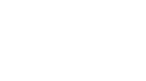 Qlik