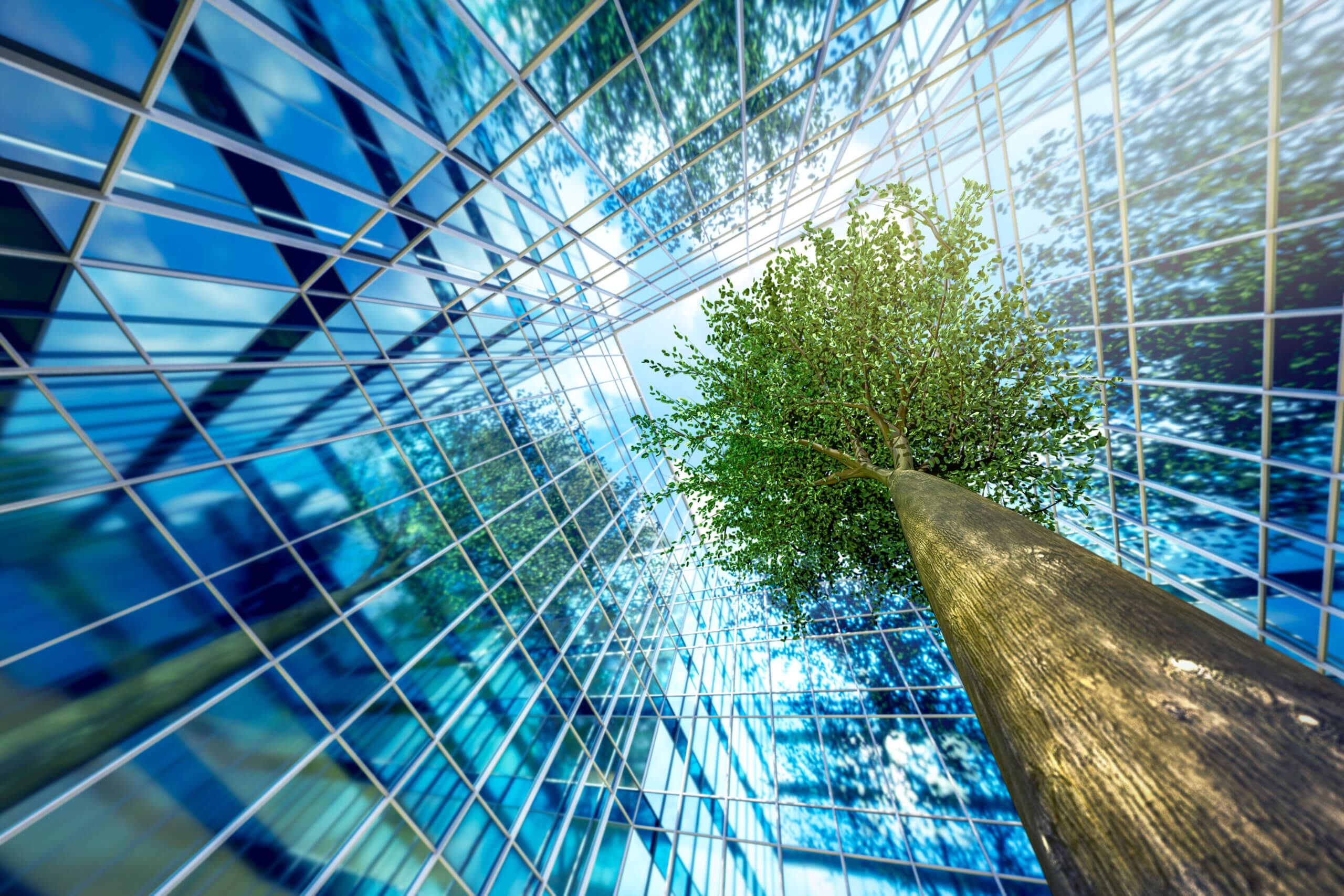 Verifiable Energy Strategies for Today's Digital Workplace